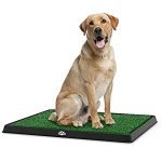Artificial Grass Puppy Pad Collection ? for Dogs and Small Pets ? Portable Training Pad with Tray ? Dog Housebreaking?